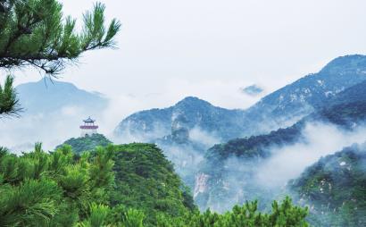 尽在程序员能干一辈子吗?在这一行业中存在中年危机吗?,专业问答交流平台!